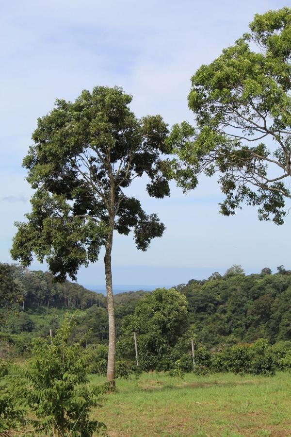 La Villa Hortensia-Mondulkiri Phumi Pu Pal Ngoại thất bức ảnh