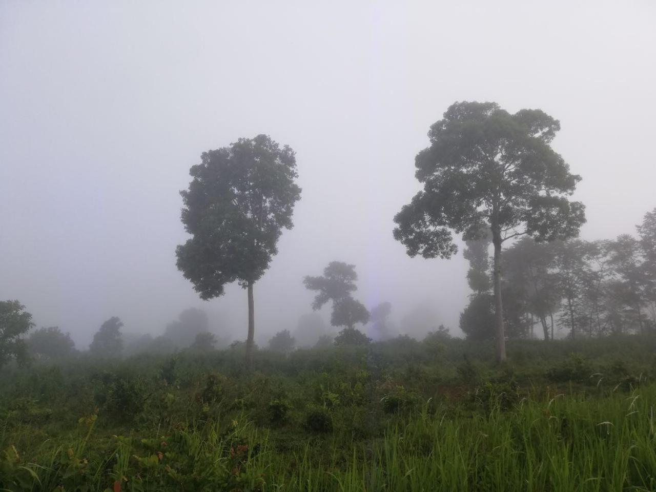 La Villa Hortensia-Mondulkiri Phumi Pu Pal Ngoại thất bức ảnh
