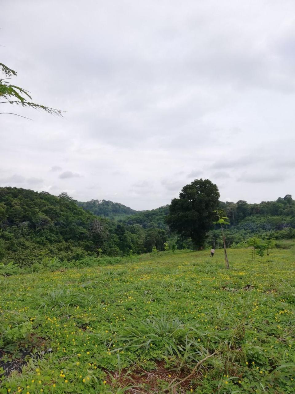 La Villa Hortensia-Mondulkiri Phumi Pu Pal Ngoại thất bức ảnh
